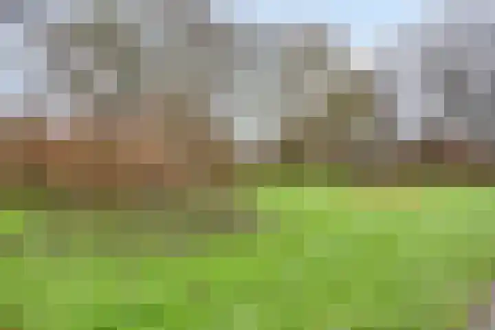 De Reiger 17 Dronten thumbnail 52