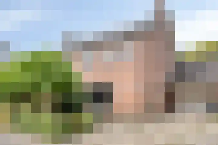 De Reiger 7 Dronten