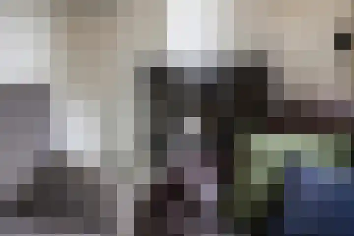 De Reiger 7 Dronten thumbnail 12