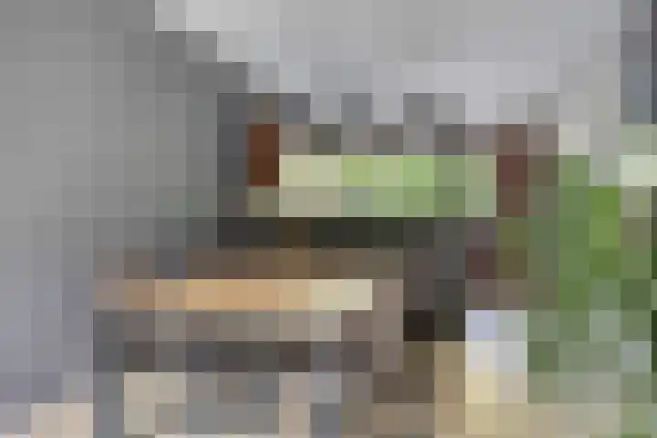 De Reiger 7 Dronten thumbnail 15