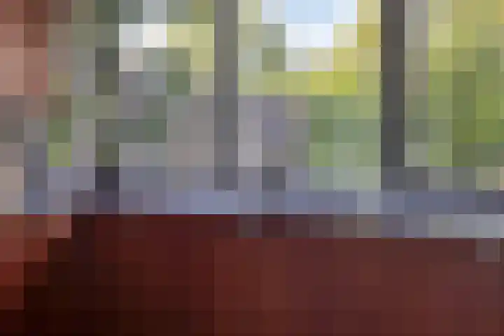 De Reiger 7 Dronten thumbnail 18