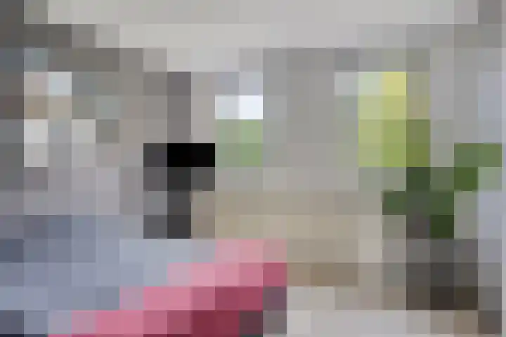 De Reiger 7 Dronten thumbnail 24