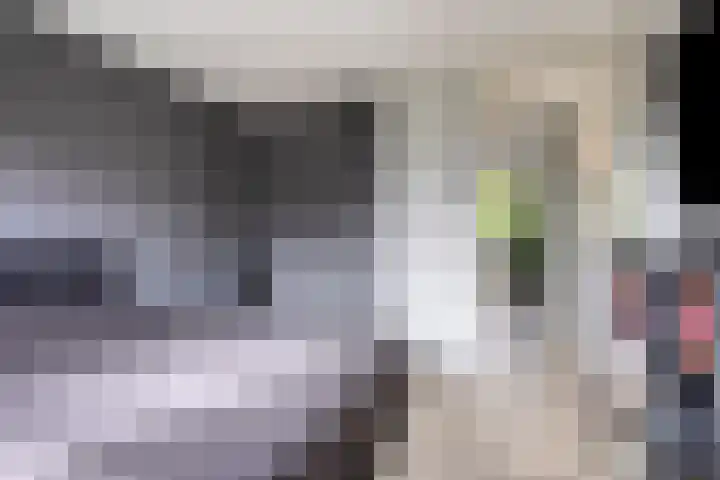 De Reiger 7 Dronten thumbnail 27