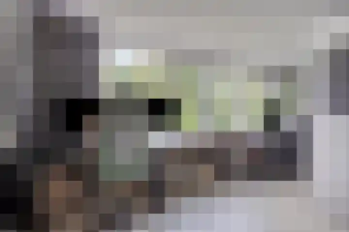 De Reiger 7 Dronten thumbnail 34