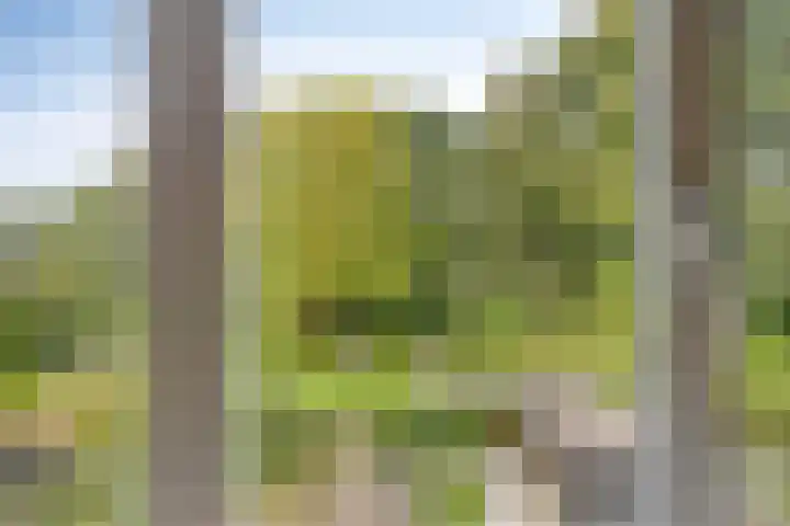 De Reiger 7 Dronten thumbnail 35