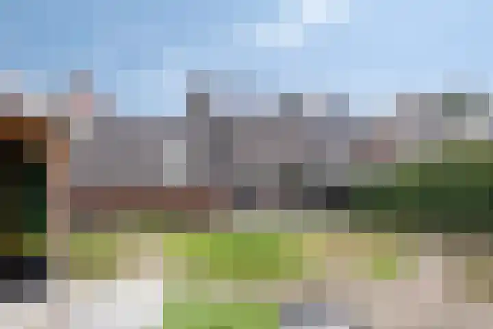 De Reiger 7 Dronten thumbnail 36