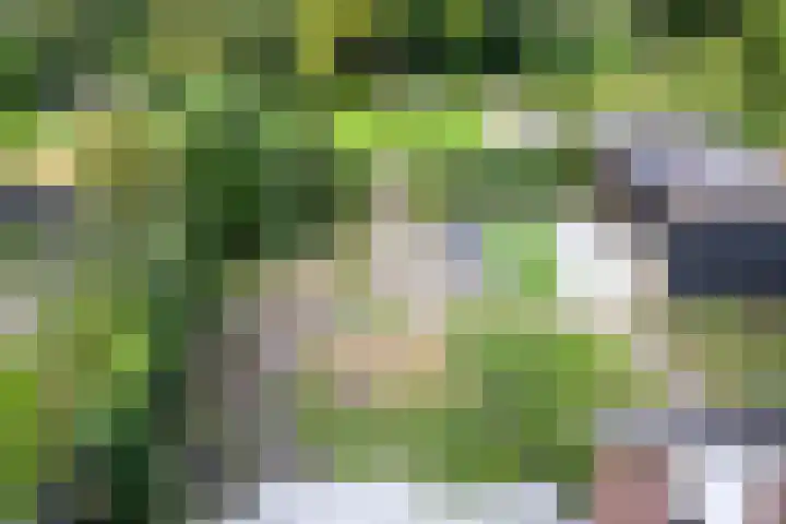 De Reiger 7 Dronten thumbnail 38