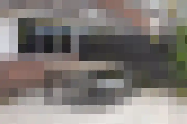 De Reiger 7 Dronten thumbnail 39