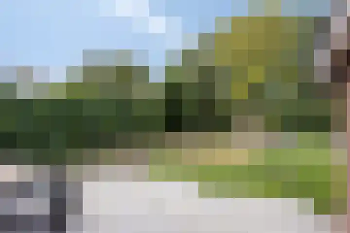 De Reiger 7 Dronten thumbnail 40