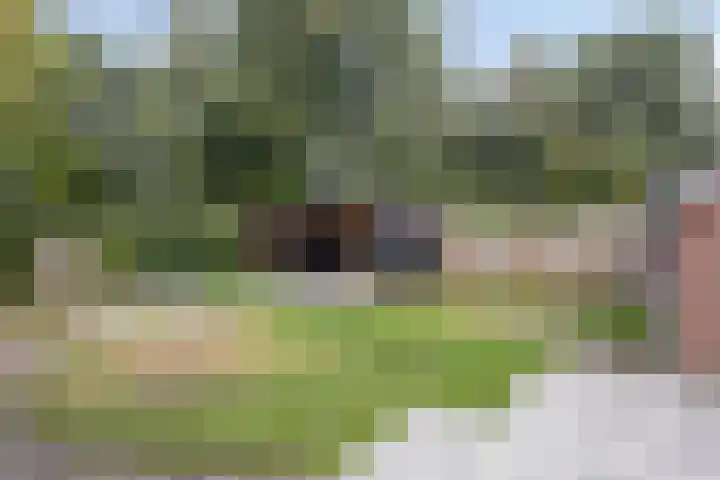 De Reiger 7 Dronten thumbnail 41
