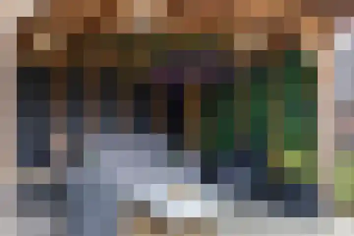 De Reiger 7 Dronten thumbnail 43