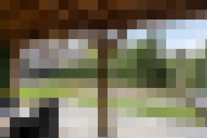 De Reiger 7 Dronten thumbnail 44