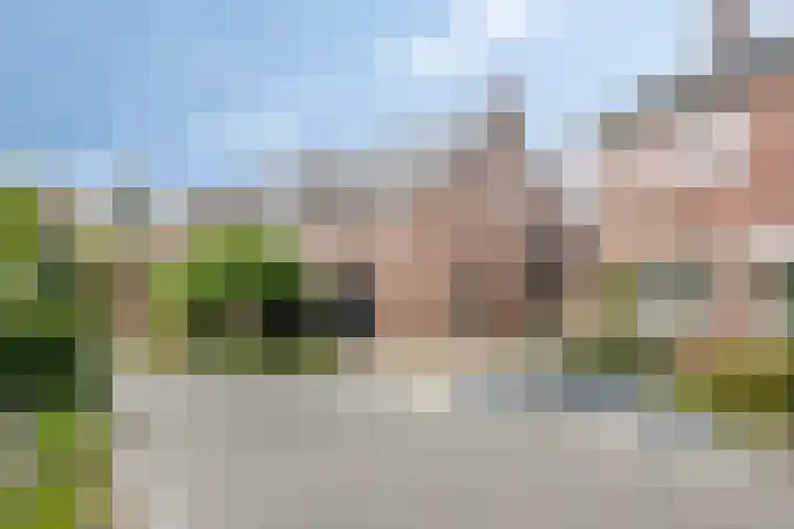 De Reiger 7 Dronten thumbnail 46