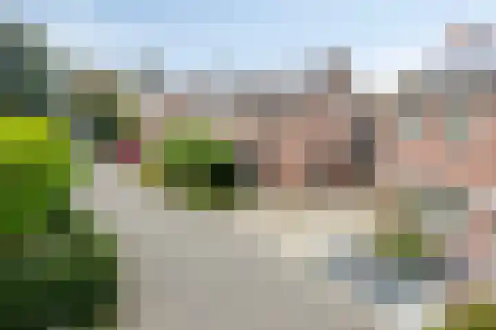 De Reiger 7 Dronten thumbnail 47