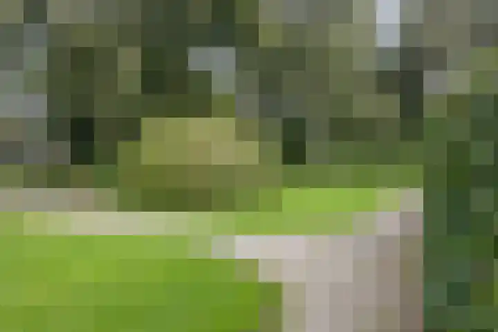 De Reiger 7 Dronten thumbnail 48
