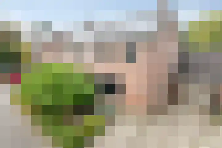 De Reiger 7 Dronten thumbnail 5