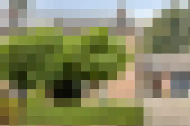 De Reiger 7 Dronten thumbnail 6