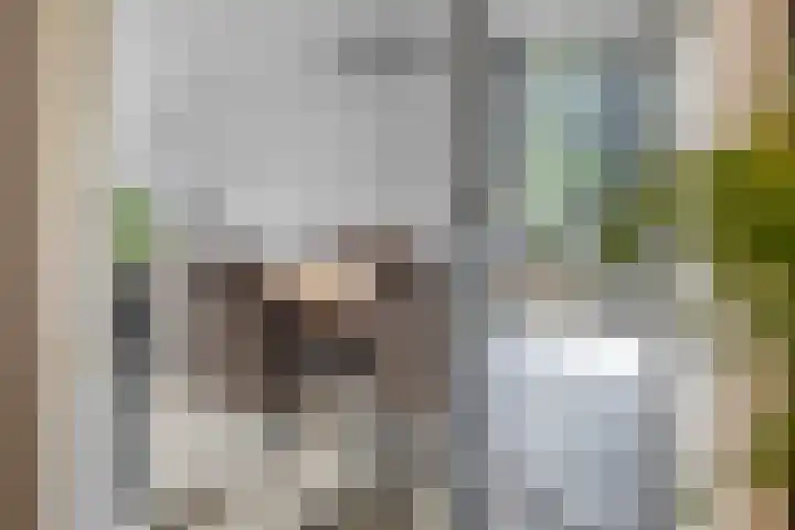 De Reiger 7 Dronten thumbnail 8