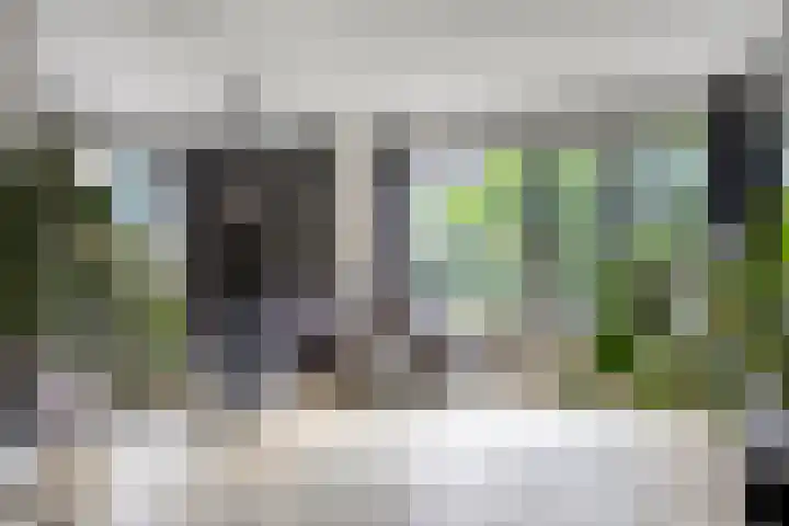 De Reiger 7 Dronten thumbnail 9