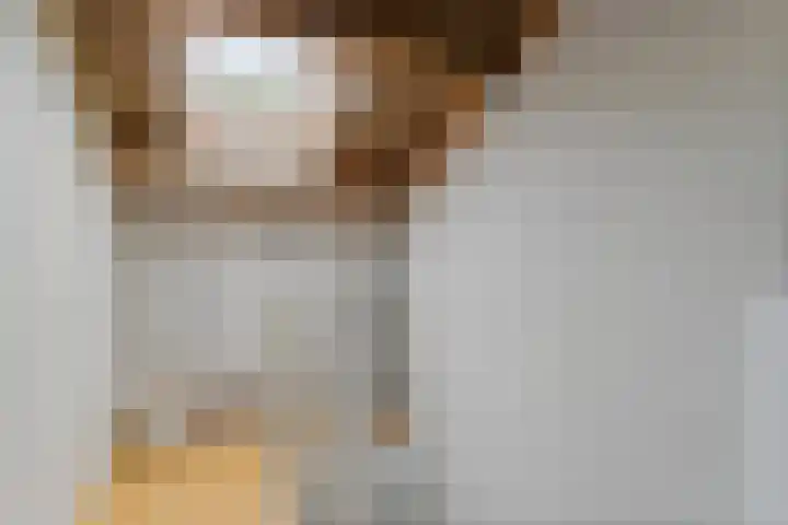 De Reit 16 Vleuten thumbnail 19
