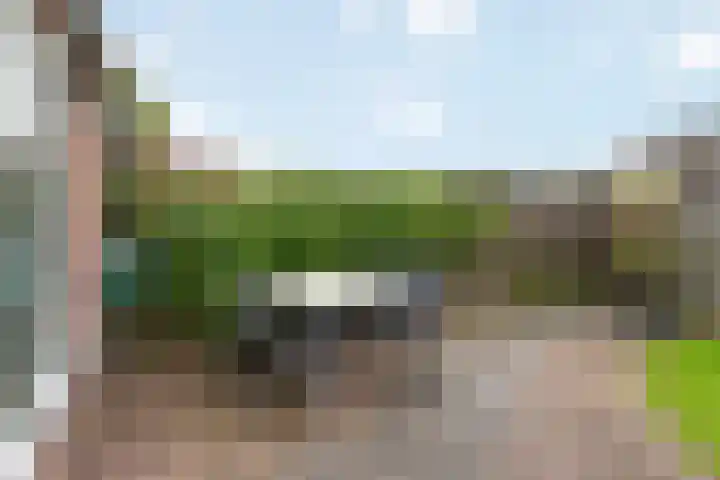 De Reit 16 Vleuten thumbnail 23