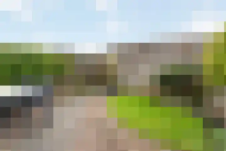 De Reit 16 Vleuten thumbnail 24
