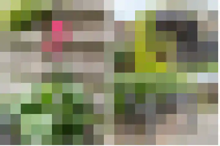 De Reit 16 Vleuten thumbnail 25