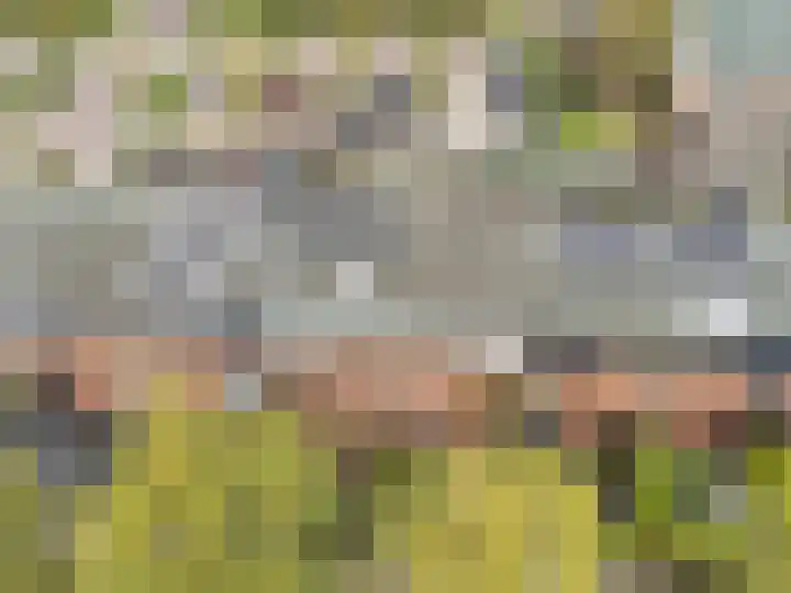 De Reit 16 Vleuten thumbnail 26