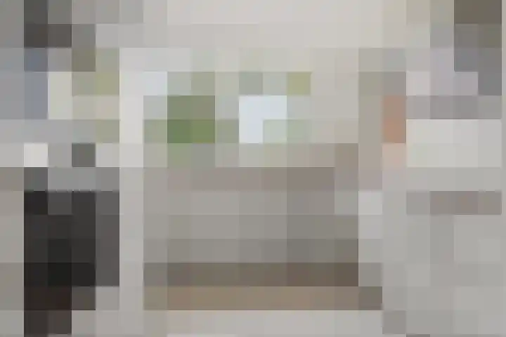 De Reit 16 Vleuten thumbnail 7