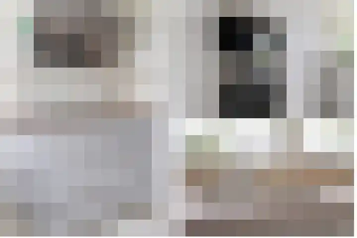 De Reit 16 Vleuten thumbnail 8