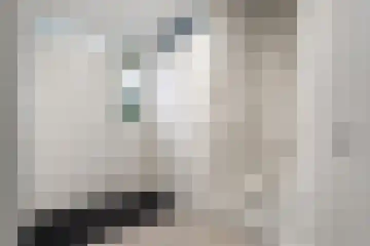 De Reit 16 Vleuten thumbnail 9