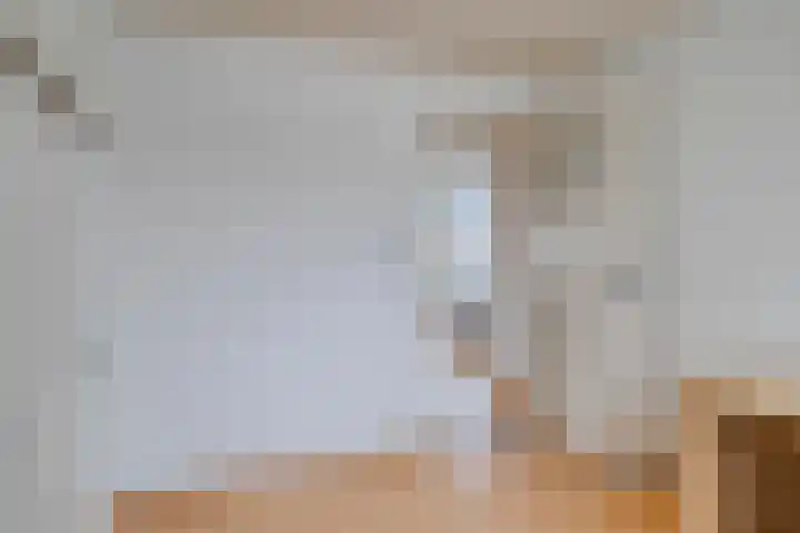 De Reitstraat 2 Goirle thumbnail 22