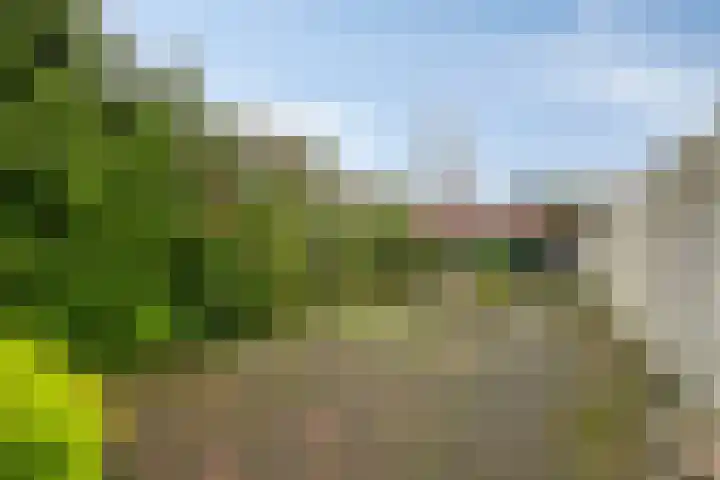 De Reitstraat 2 Goirle thumbnail 24