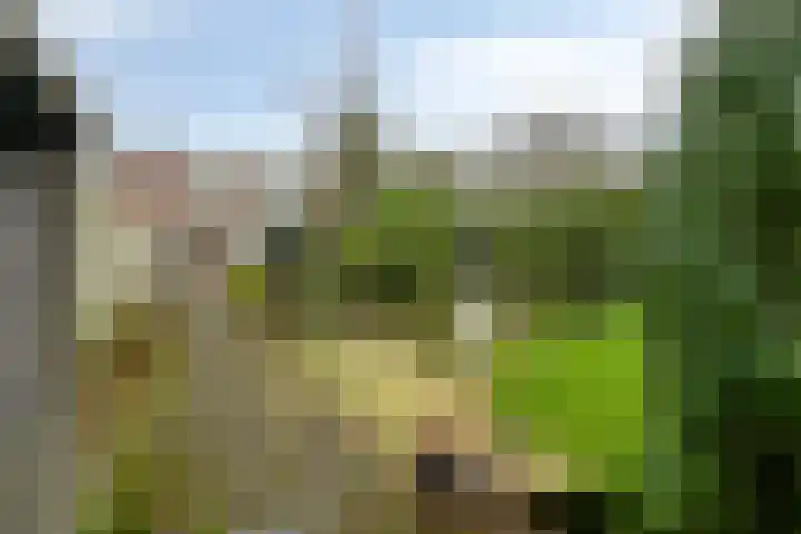 De Reitstraat 2 Goirle thumbnail 26