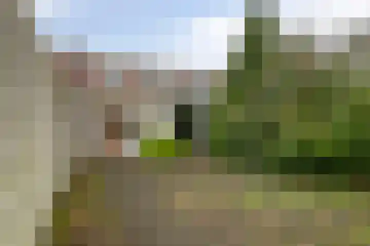 De Reitstraat 2 Goirle thumbnail 27