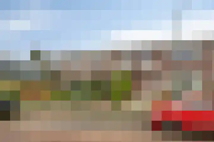 De Reitstraat 2 Goirle thumbnail 29