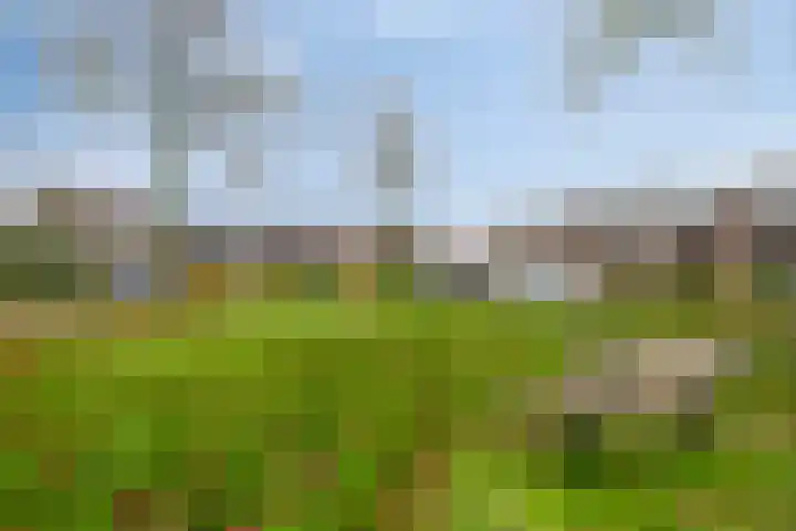 De Reitstraat 2 Goirle thumbnail 31