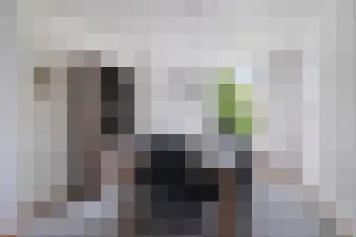 De Reitstraat 2 Goirle thumbnail 4