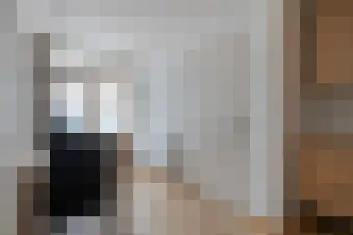 De Reitstraat 2 Goirle thumbnail 6