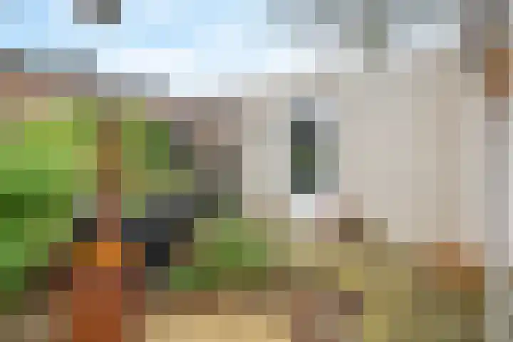 De Remise 10 Amersfoort thumbnail 11