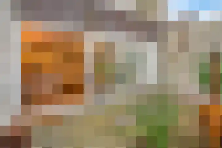 De Remise 10 Amersfoort thumbnail 12