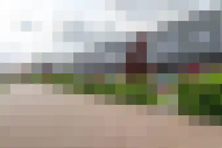 De Remize 6 Stiens thumbnail 10