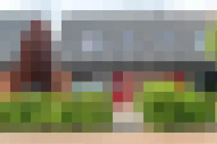 De Remize 6 Stiens thumbnail 11