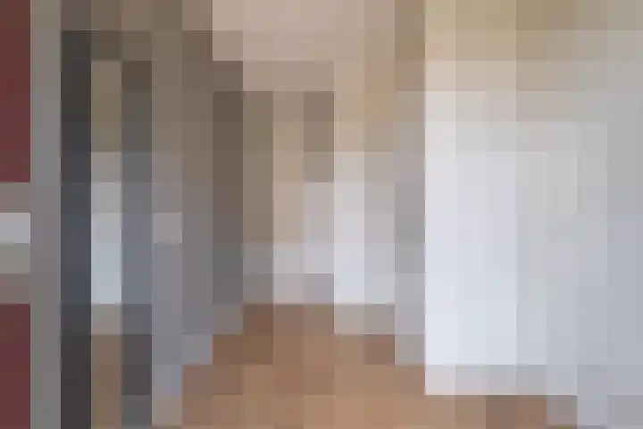 De Remize 6 Stiens thumbnail 12