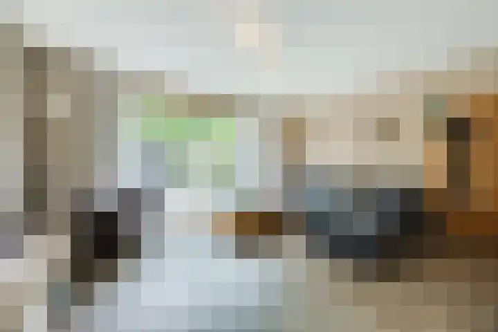 De Remize 6 Stiens thumbnail 13
