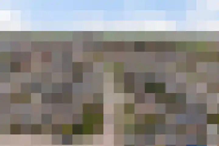 De Remize 6 Stiens thumbnail 22