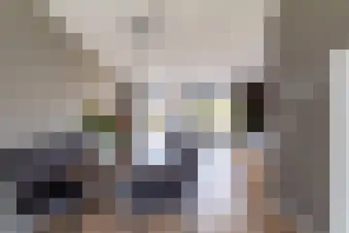 De Remize 6 Stiens thumbnail 22