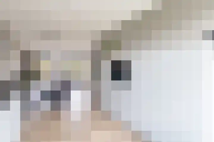 De Remize 6 Stiens thumbnail 23