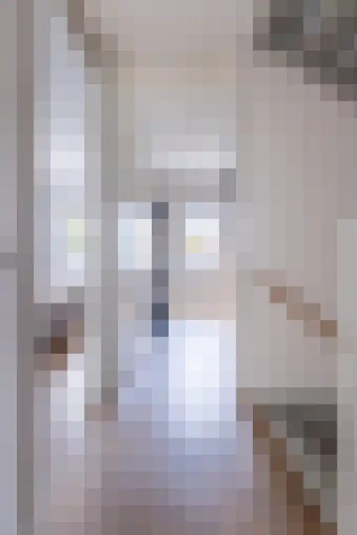 De Remize 6 Stiens thumbnail 27