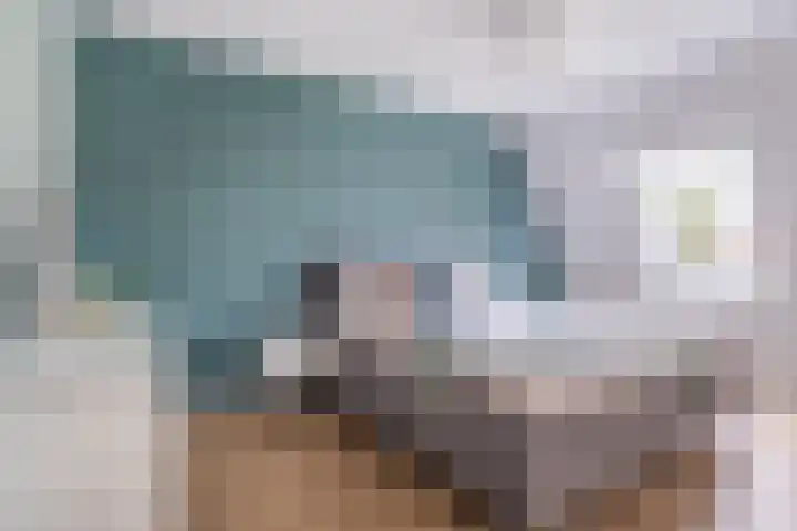 De Remize 6 Stiens thumbnail 35